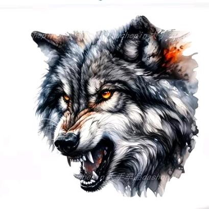 🇨🇳代号001（若有战，召必回）