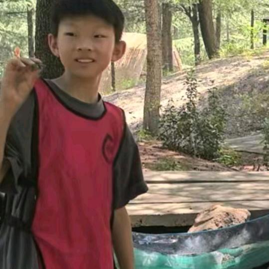 受伤的狼🧟‍♂️