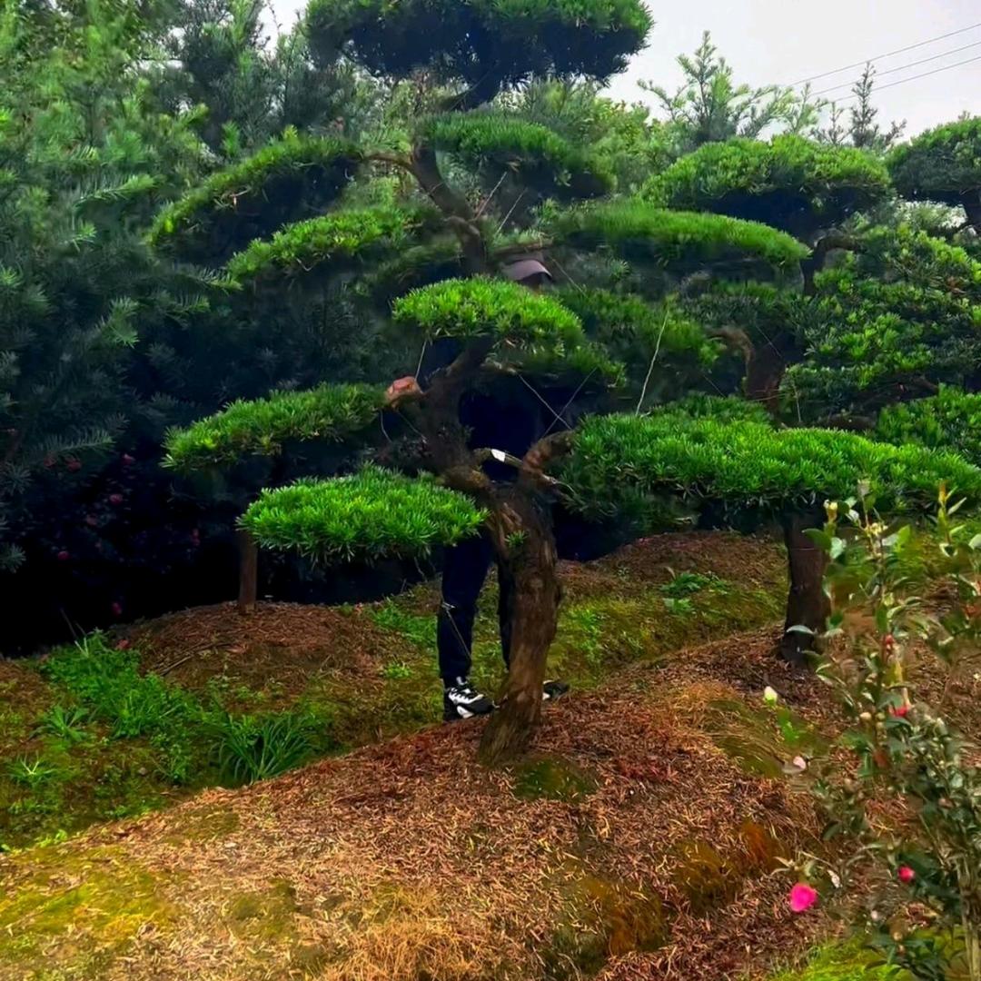 醉卧沙场，笑对人生。