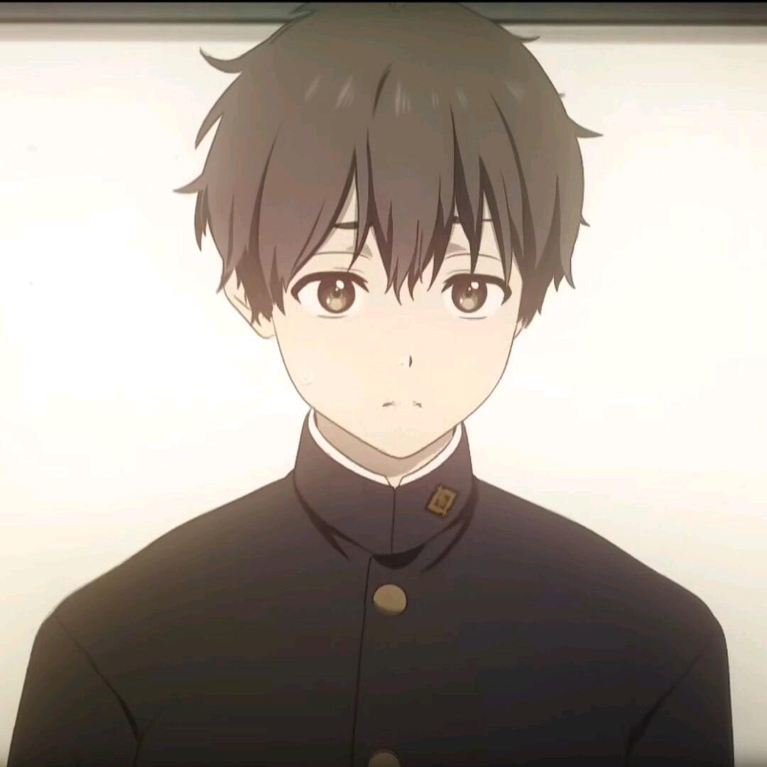 坚书直实（免费打段）