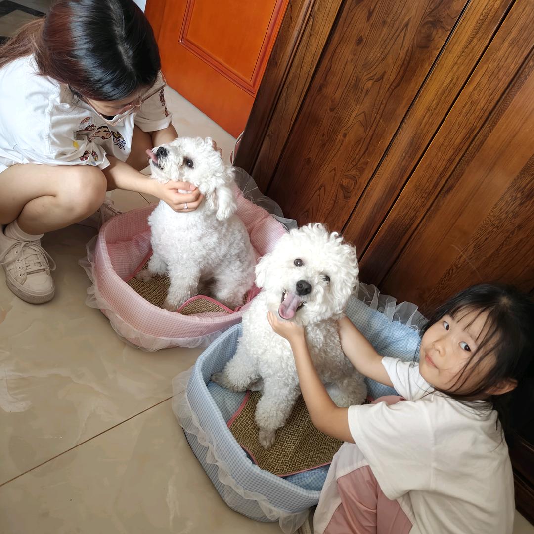 敏