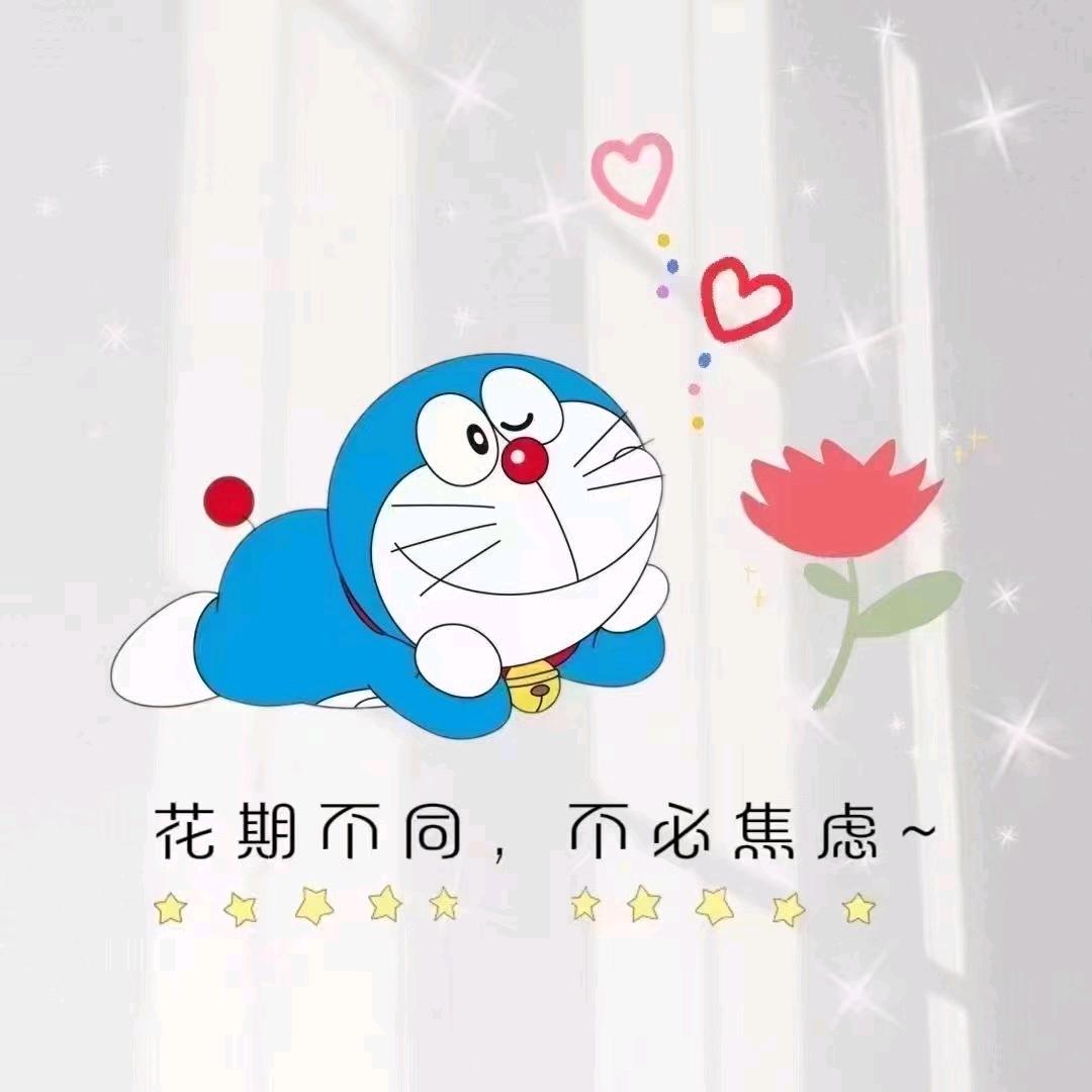 迷