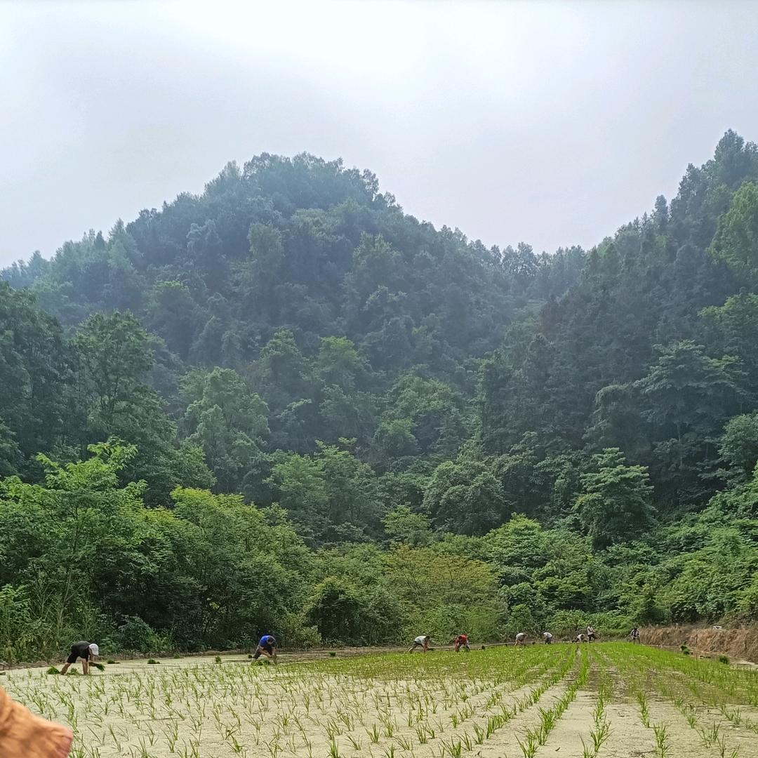 独居离异