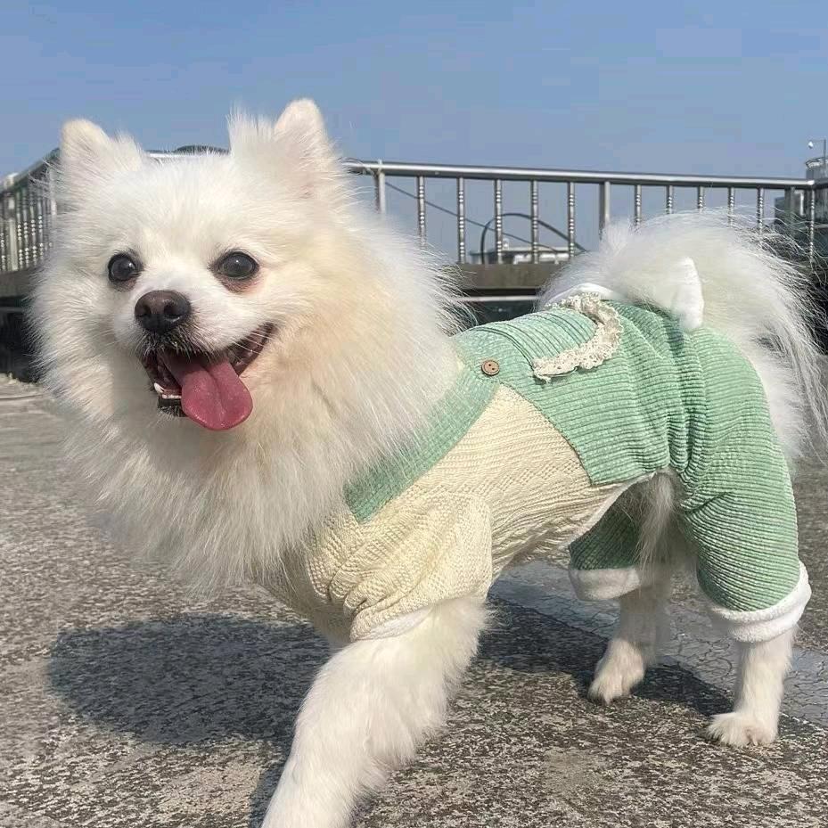 勿忘你