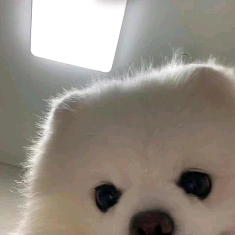 我说我不帅他们就打我