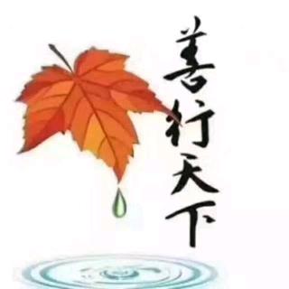 风景进口丝雀繁殖