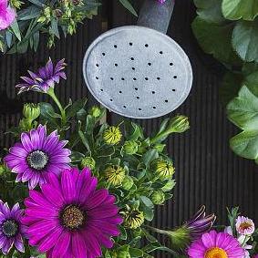 组撒从来就躺着呢