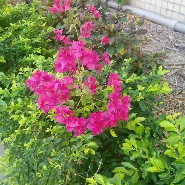 用户959118721990301