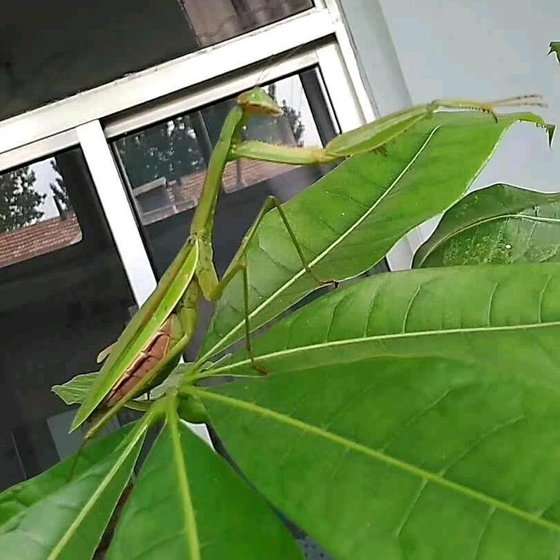 墨溪河畔专业铺贴