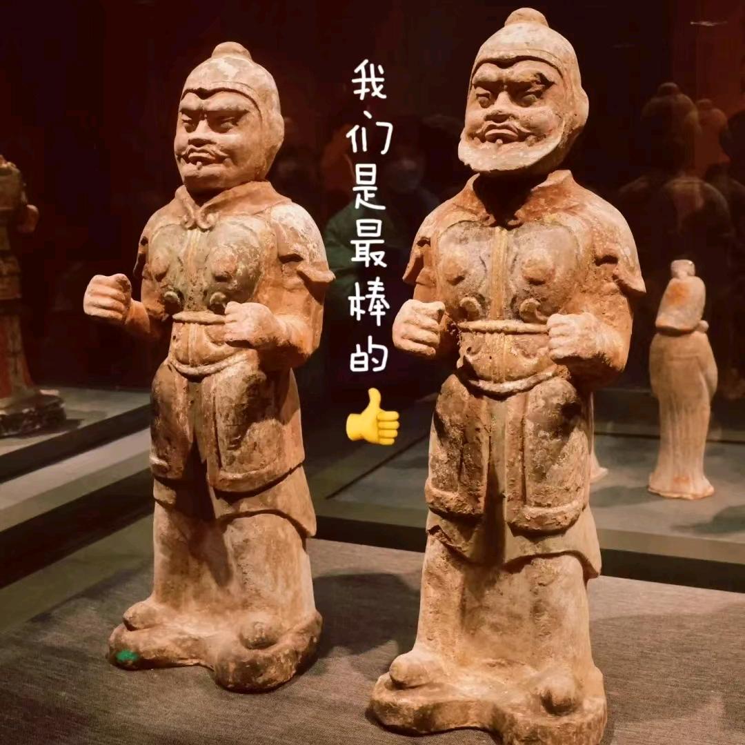 @娟子