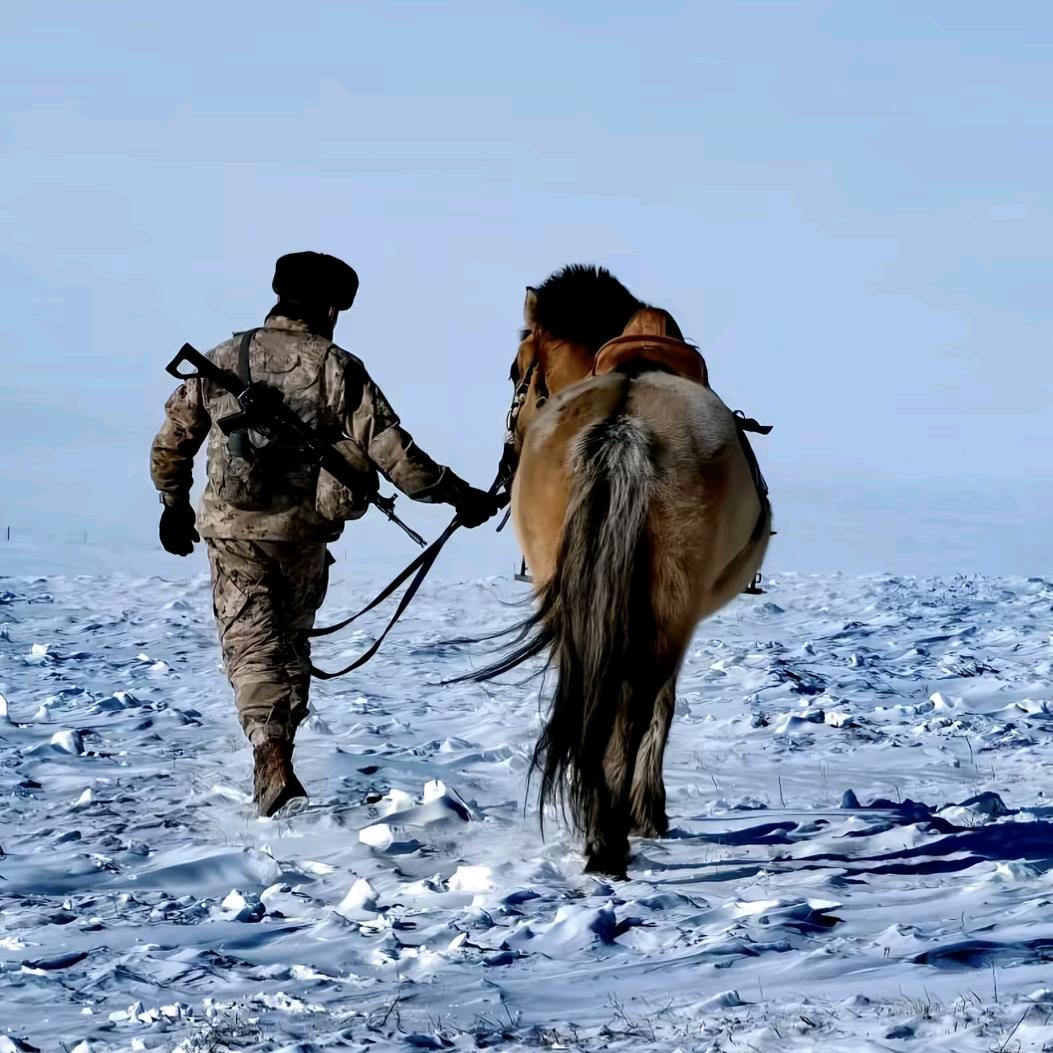 狭路相逢🇲🇴勇者胜