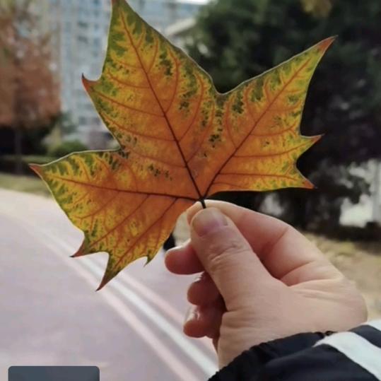 静沐 •͈⚇•͈♡̷暖阳
