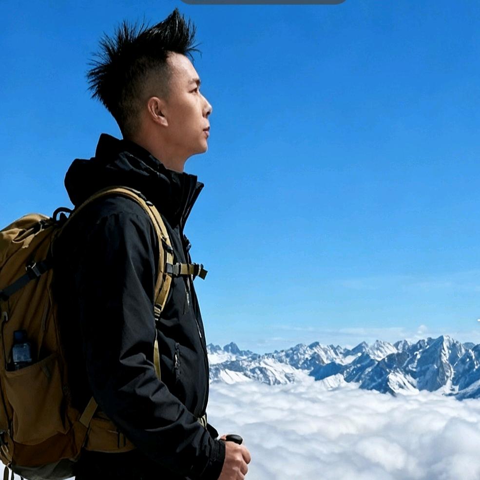 在下只是一个浪子