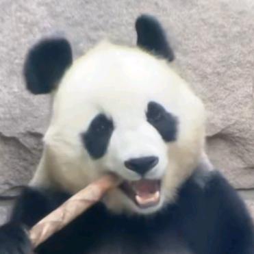 用户7342883839551💜