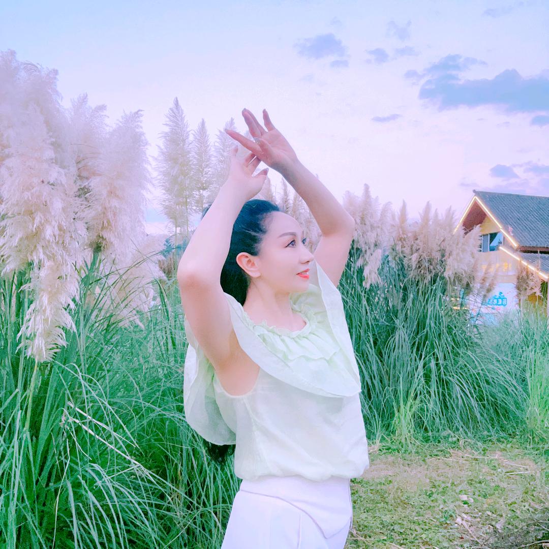 🌺女人花🌺