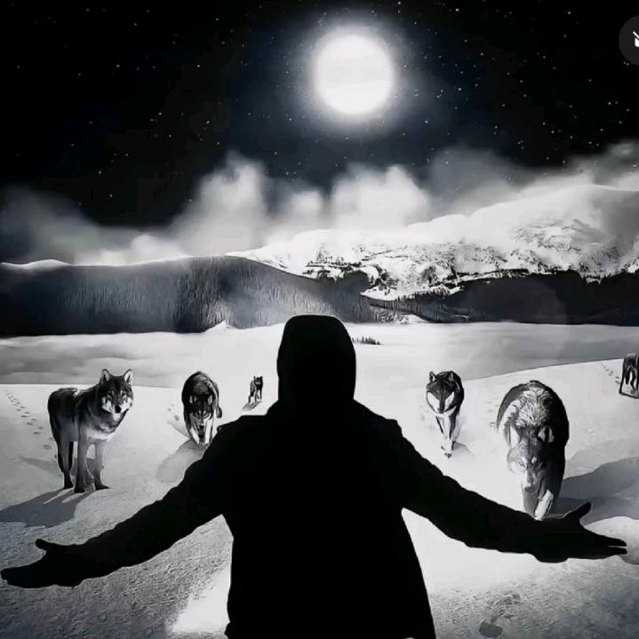 热点研究所（“专家”龍叔）