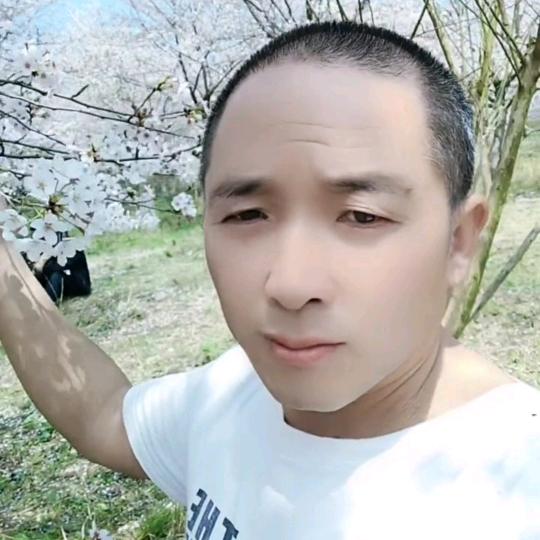 真心换来一身伤巜文》