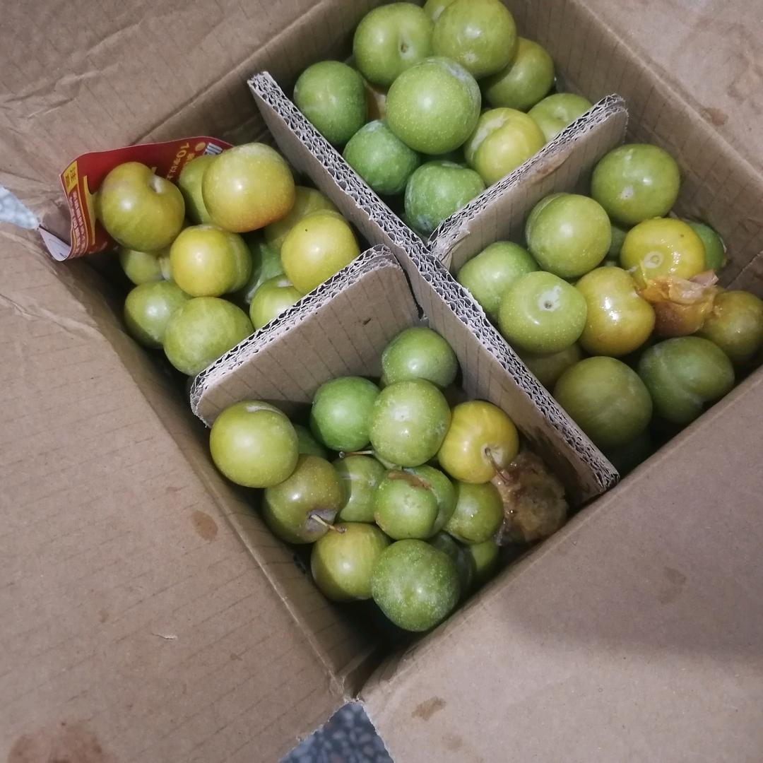 我爱你伤心