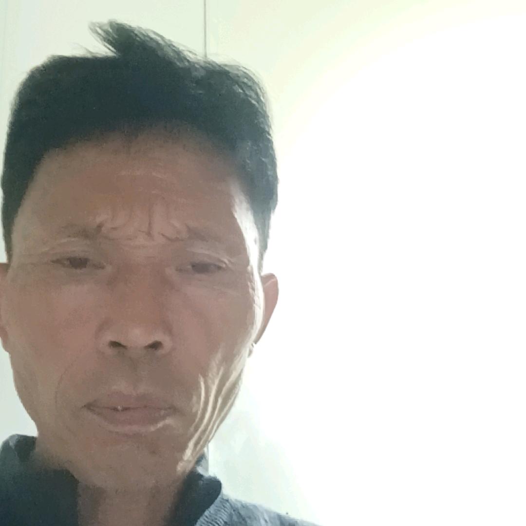 用户李树伦