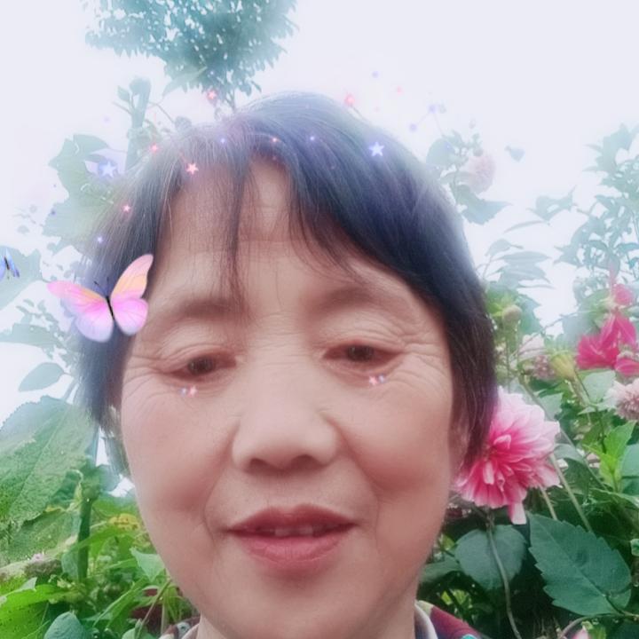 文菊但愿人长久，千里共婵娟，