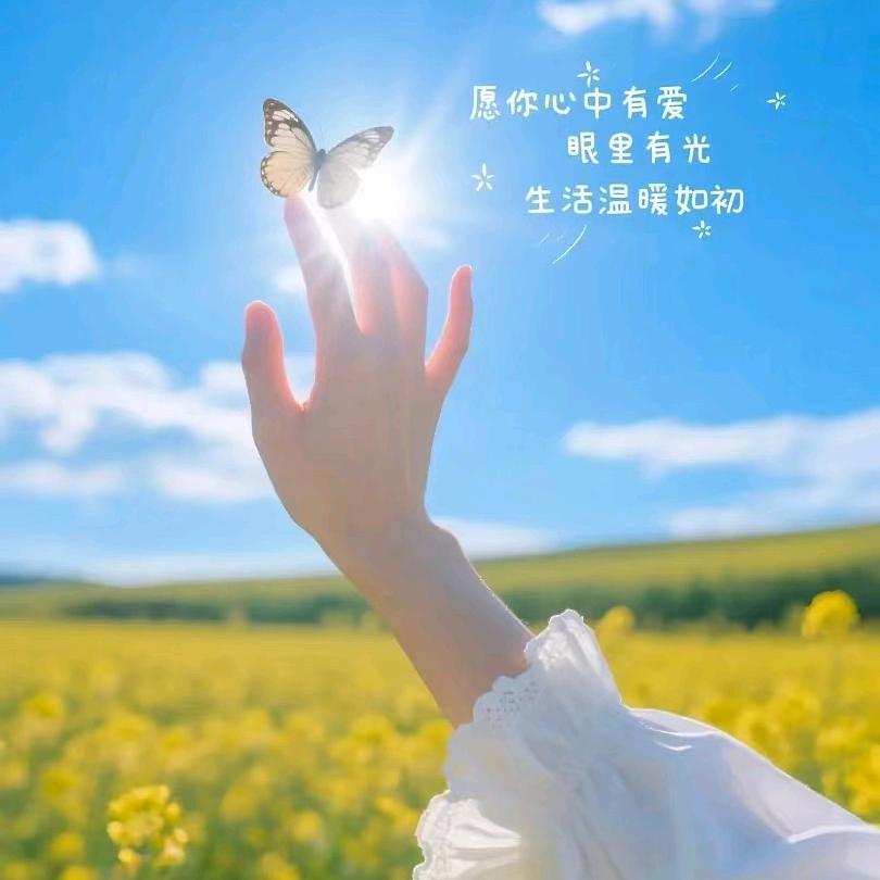 阳光和你