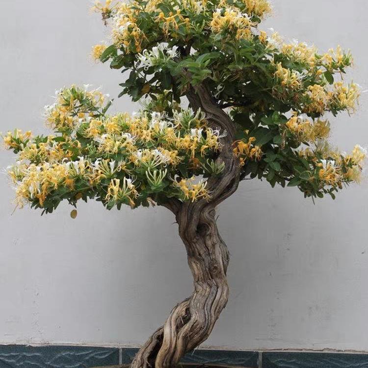 人生难得糊涂！