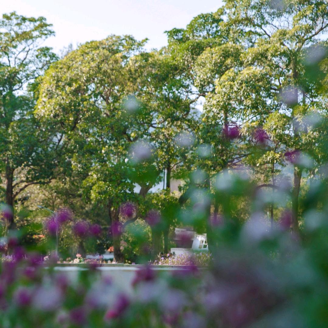 有本事宠我一辈子