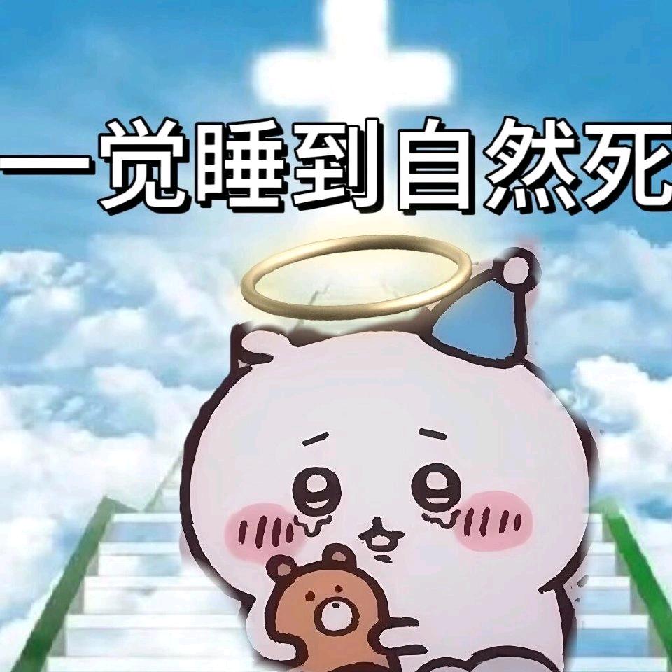 小茄🍆