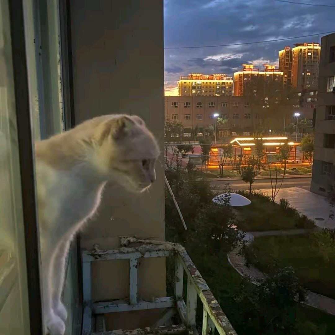 夜星辰缈
