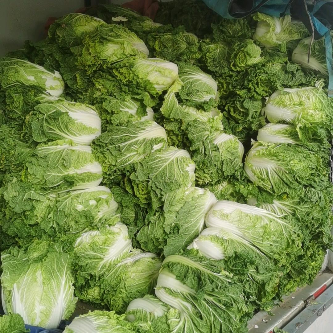 大刚豆腐坊