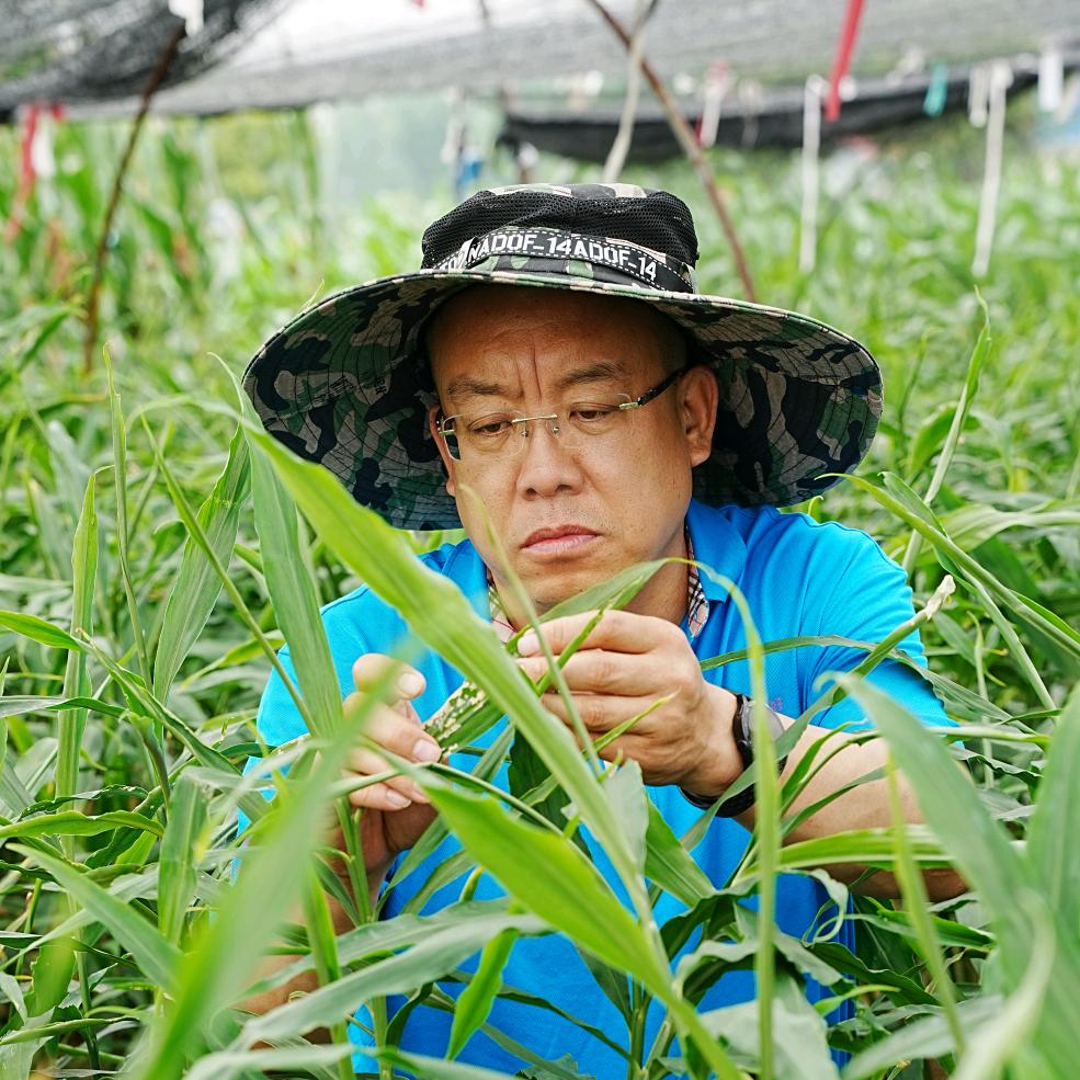 姜友汇（张老师）