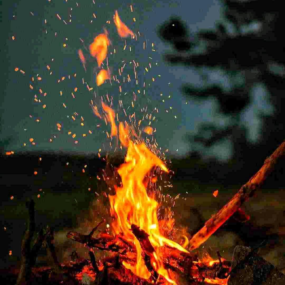 🔥🔥🔥政通人和🔥🔥🔥