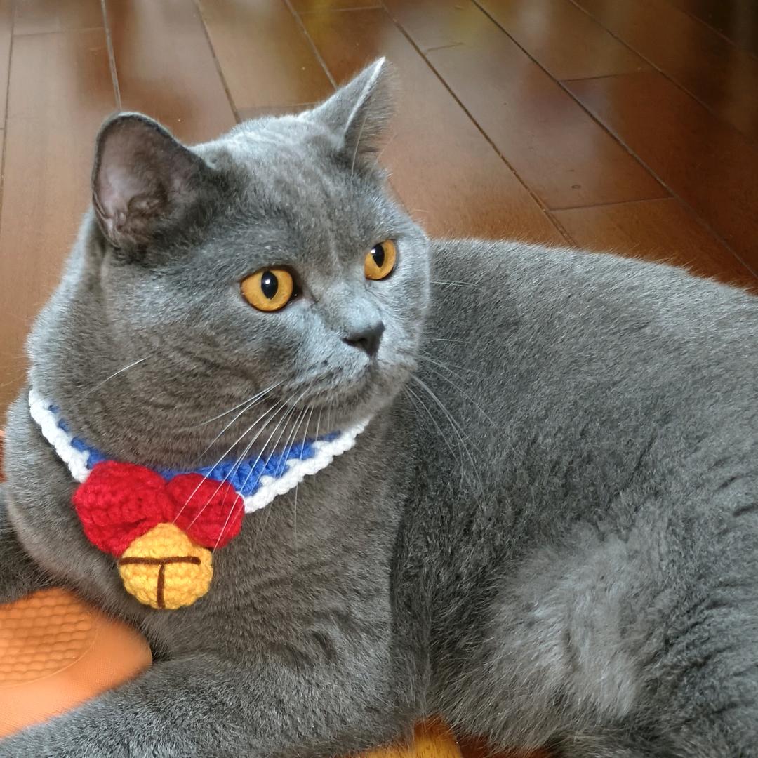 😸 招财猫猫 😸