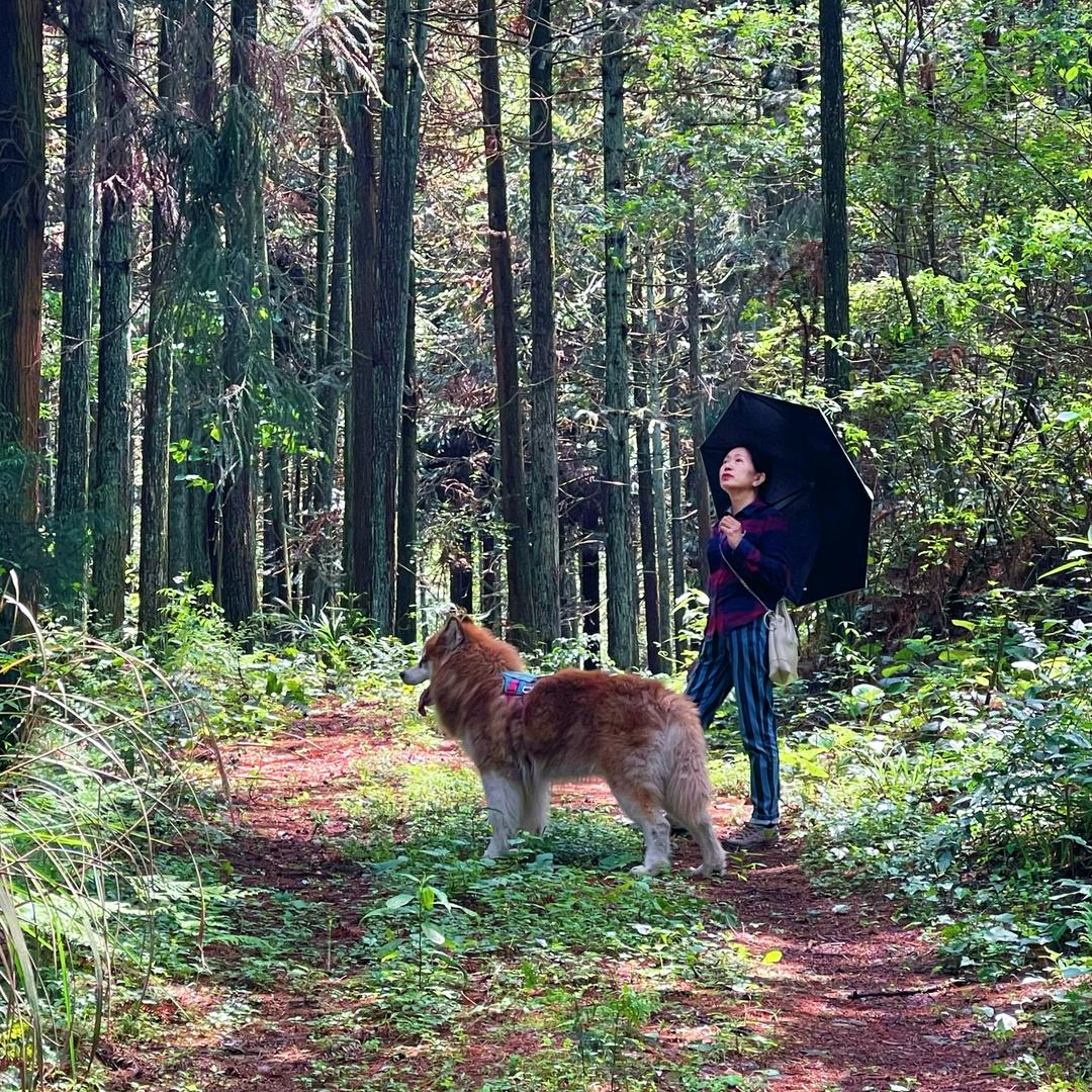 王是的幸福生活