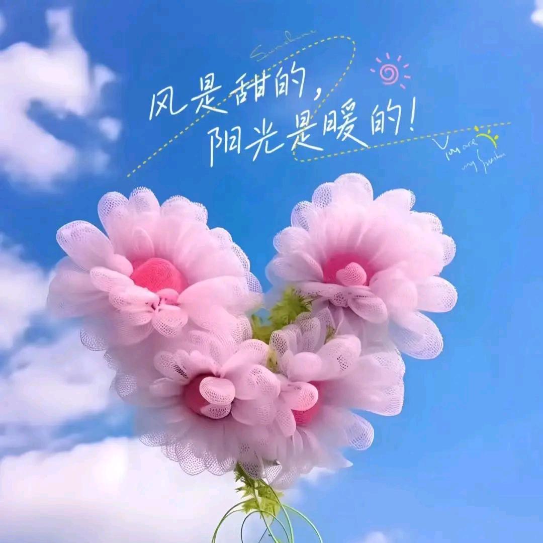 夏日清田