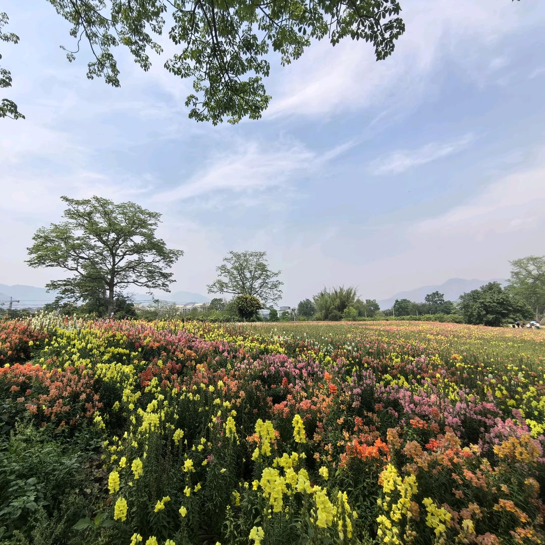 🌈꧁有钱又有闲꧂🌈