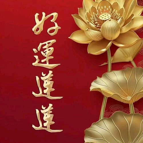 术蓉