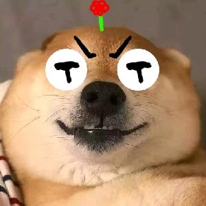 AD钙老蒯