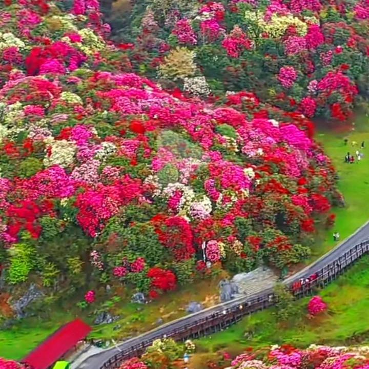 ❤️幸🌸福🌸就🌸在🔥前🔥方🔥