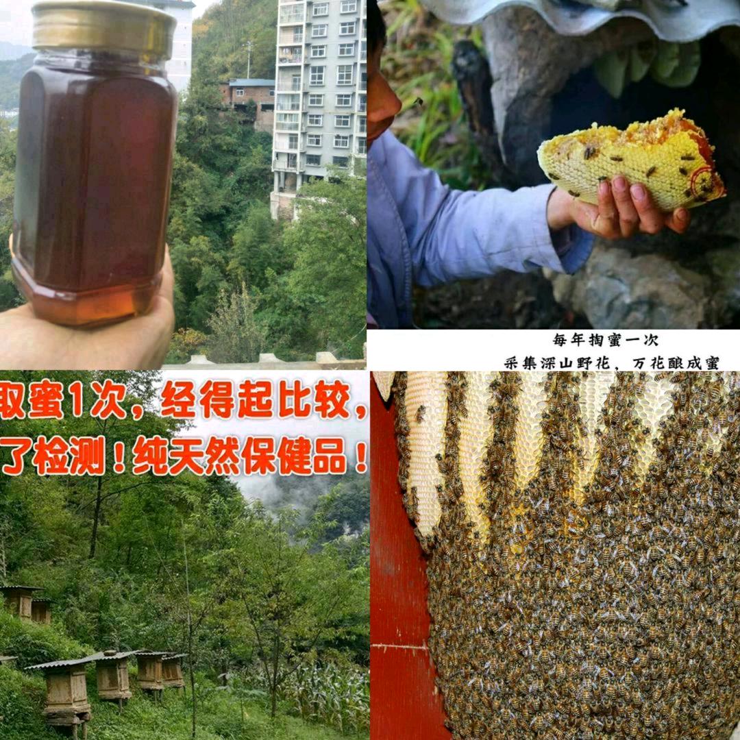 蜜蜂