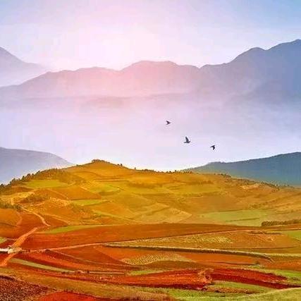 孙惠