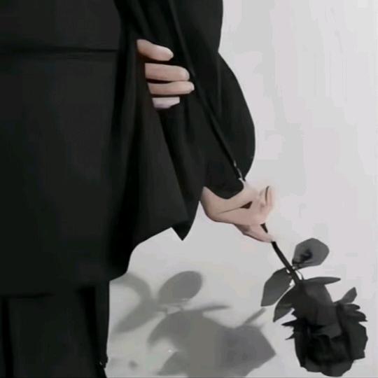 清欢渡_
