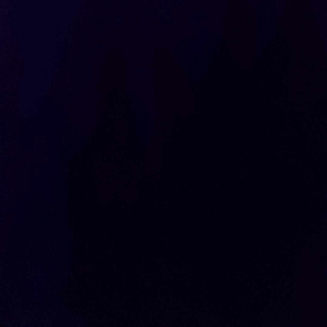 青山别憾见槐序