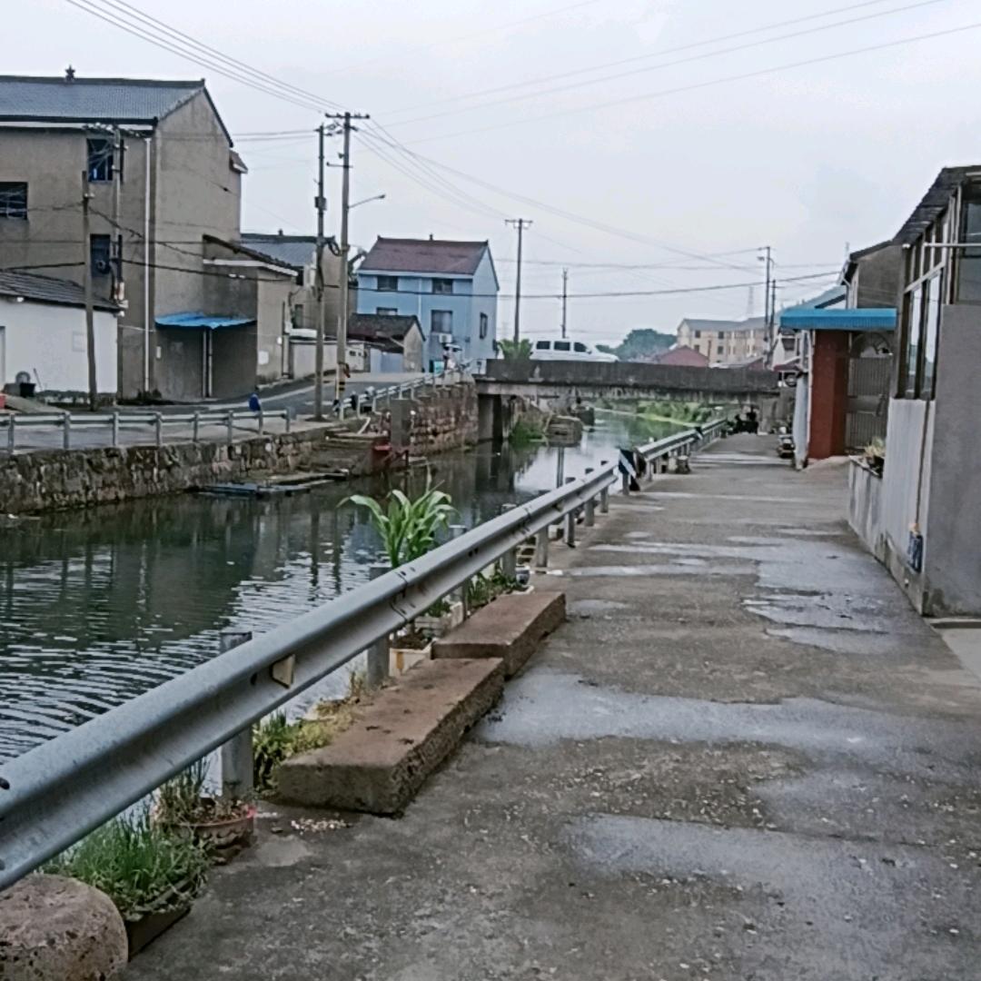 冯远