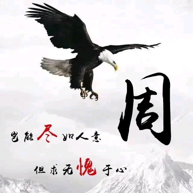 🌈周大鹏