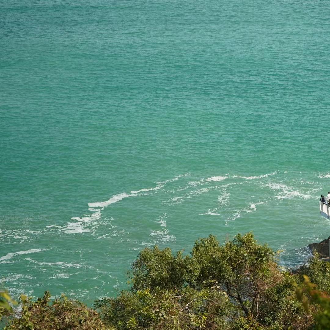 等风こん ✿(。◕‿◕。)✿