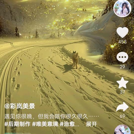 修灵程枫