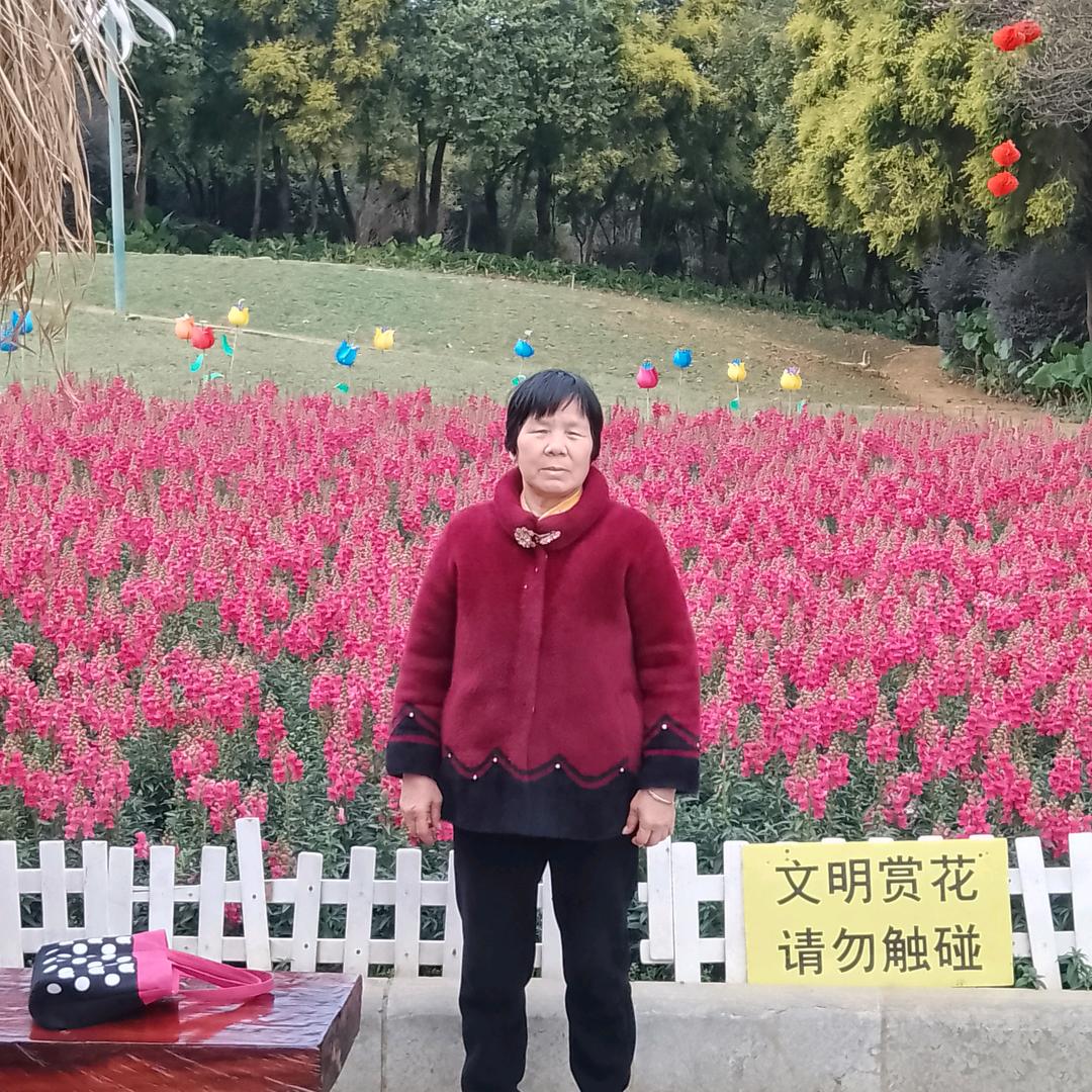 丽姐姐