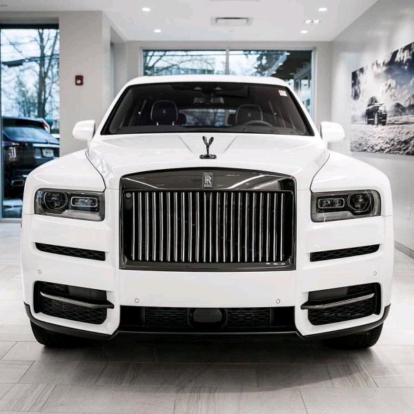 二狗半价车[丢车包赔]