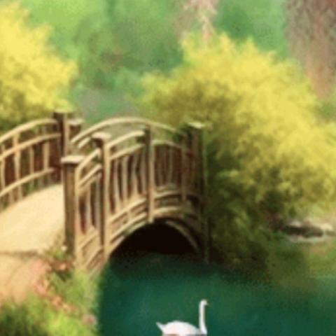 黑凤爪
